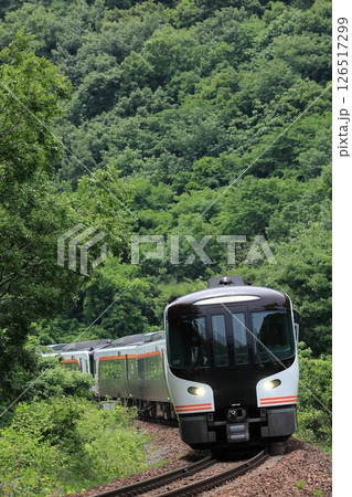 新緑の高山本線を走る特急ひだ 126517299