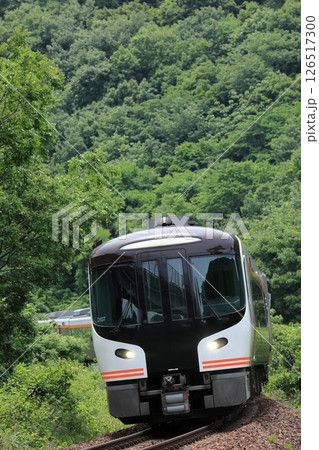 新緑の高山本線を走る特急ひだ 126517300