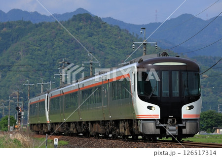 新緑の高山本線を走る特急ひだ 126517314