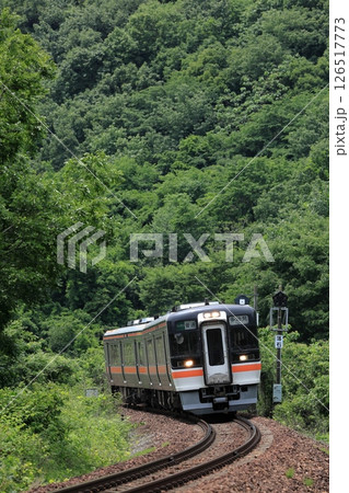 新緑の高山本線を走るキハ75普通列車 新緑の高山本線を走るキハ75普通列車 126517773
