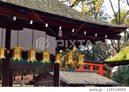 京都 河合神社 京都 河合神社 126518008