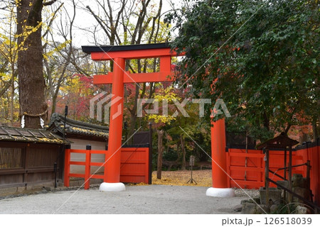 京都　河合神社の鳥居 126518039