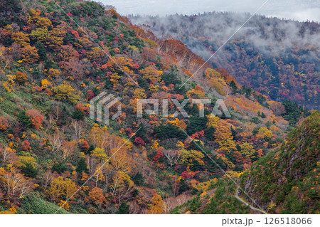 安達太良山・くろがね小屋付近の紅葉の山並み 126518066