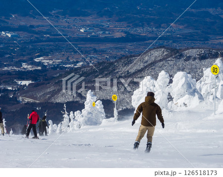 樹氷に囲まれたゲレンデを滑り降りるスキーヤー (山形県、蔵王温泉スキー場、樹氷原コース) 126518173