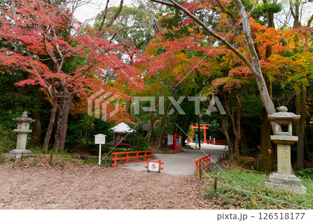 下鴨神社 あけ橋 下鴨神社 あけ橋 126518177