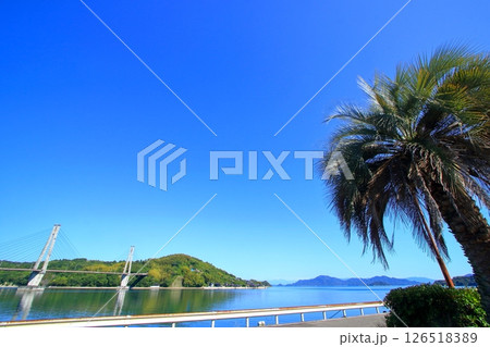 大芝島の対岸から見る風景 126518389