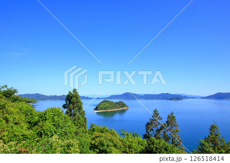 緑色が映える 初夏の大芝島 126518414