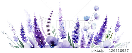 Border made of watercolor lavender flowers. Purple wildflowers wedding isolated illustration Border made of watercolor lavender flowers. Purple wildflowers wedding isolated illustration 126518927