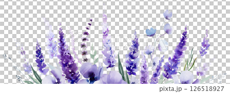 Border made of watercolor lavender flowers. Purple wildflowers wedding isolated illustration Border made of watercolor lavender flowers. Purple wildflowers wedding isolated illustration 126518927