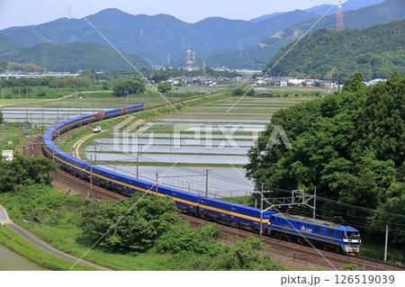 初夏の東海道本線を走るEF210貨物列車 126519039