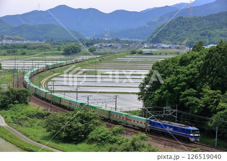 初夏の東海道本線を走るEF210貨物列車 126519040