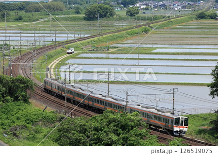 初夏の東海道本線を走る311系列車 初夏の東海道本線を走る311系列車 126519075