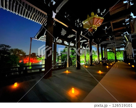京都・妙顕寺のライトアップ 126519101