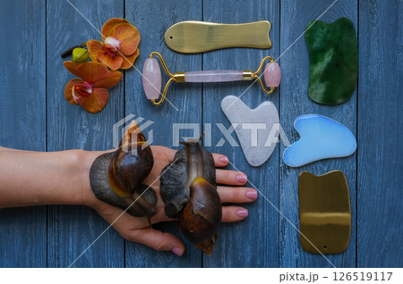 Skin care beauty concept with giant snails, face roller and guasha massagers Skin care beauty concept with giant snails, face roller and guasha massagers 126519117