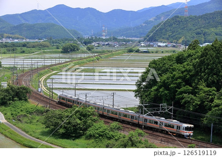 初夏の東海道本線を走る313系列車 126519119