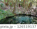 茨城県　泉神社のターコイズブルーな湧水 126519137