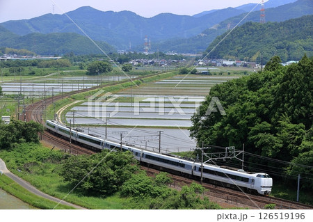 初夏の東海道本線を特急しらさぎ 126519196
