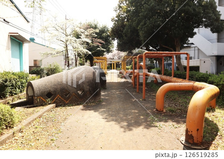 桜の季節の新田緑道（横浜市港北区） 126519285
