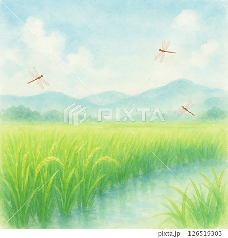 稲穂と蜻蛉の水彩背景 – Rice Field & Dragonflies Watercolor B 126519303