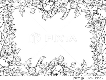 Currant gooseberry with green leaves on branch, hand drawn in vector ink, ripe garden berry juneberry casseille jostaberry cluster group. Isolated border frame for craft menu, farmers market grocery Currant gooseberry with green leaves on branch, hand drawn in vector ink, ripe garden berry juneberry casseille jostaberry cluster group. Isolated border frame for craft menu, farmers market grocery 126519547