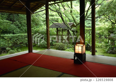 妙心寺塔頭 桂春院 書院から見る侘の庭(京都市右京区) 妙心寺塔頭 桂春院 書院から見る侘の庭(京都市右京区) 126519808