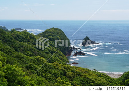 徳島県南阿波サンラインから見える白波立つ岩礁と太平洋の海原風景　Ver3　 126519813
