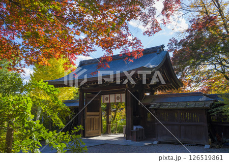京都 梨木神社の紅葉 京都 梨木神社の紅葉 126519861