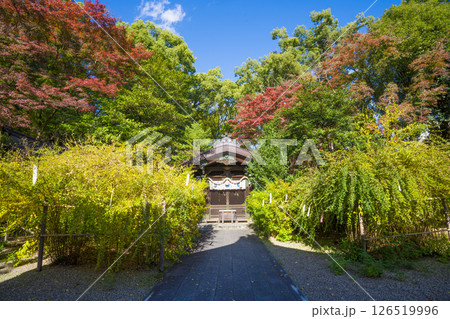 京都　梨木神社の紅葉  126519996