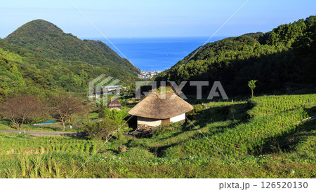 秋の石部棚田 126520130