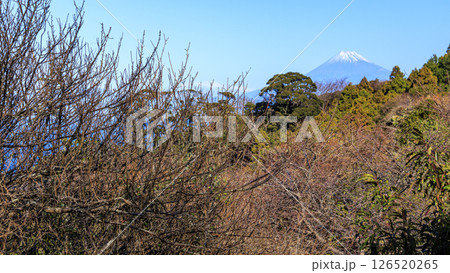 冬の石部棚田 126520265