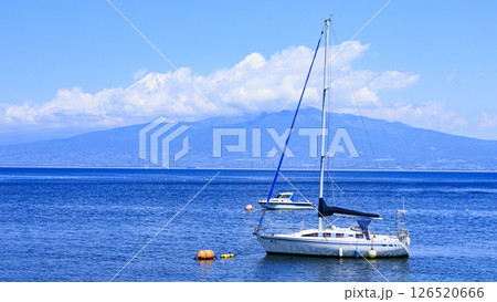 駿河湾に浮かぶヨット 駿河湾に浮かぶヨット 126520666