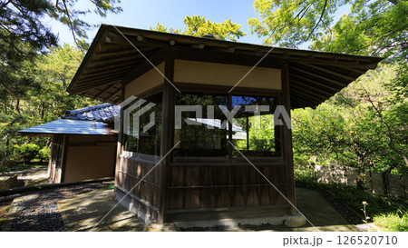 葉山しおさい公園の春 葉山しおさい公園の春 126520710