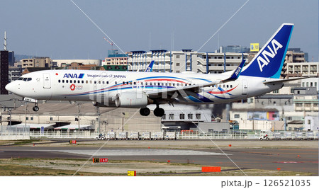 ANA B737-800万博塗装機福岡空港アプローチ 126521035