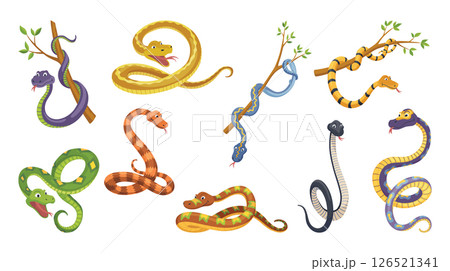 Set of cartoon color snake in various poses. Cute smiling animals, funny reptile of wild tropical nature. Flat vector isolated illustrations for kids design 126521341