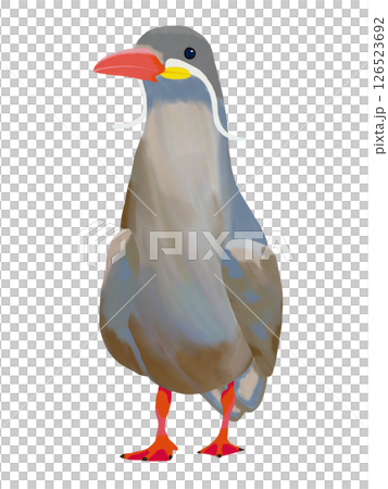 Illustration of Inca tern drawn with oil brush Wild bird Clip art Illustration PNG Illustration of Inca tern drawn with oil brush Wild bird Clip art Illustration PNG 126523692