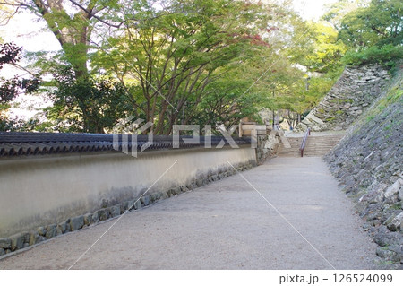 和歌山城参道の景色 126524099