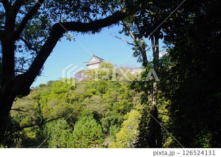 和歌山城秋の景色 126524131