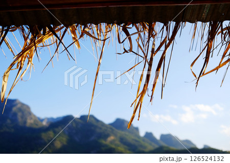 Beautiful landscape of valley Doiluang Chiangdao mountain and the eaves of a dry thatched in Chiangmai Province of Thailand. Traditional Local house Beautiful landscape of valley Doiluang Chiangdao mountain and the eaves of a dry thatched in Chiangmai Province of Thailand. Traditional Local house 126524132