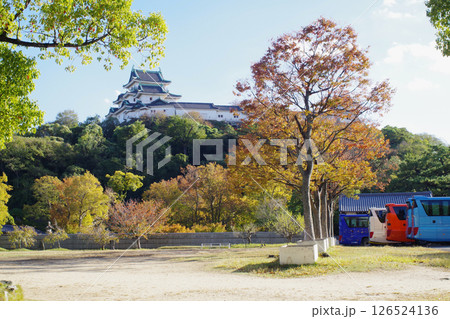 和歌山城秋の景色 和歌山城秋の景色 126524136