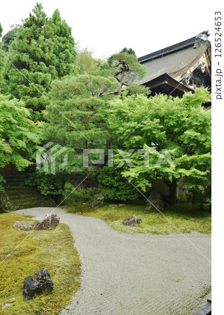 御寺泉涌寺　初夏の御座所庭園(京都市東山区) 126524653
