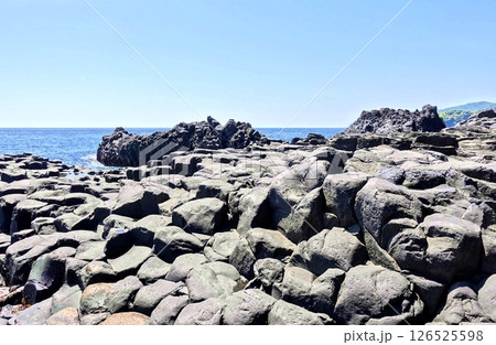 城ケ崎海岸の自然研究道の絶景 城ケ崎海岸の自然研究道の絶景 126525598
