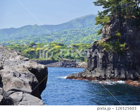 城ケ崎海岸の自然研究道の絶景 城ケ崎海岸の自然研究道の絶景 126525603