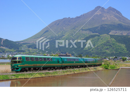 由布岳と特急「ゆふいんの森」（JR九州　キハ71系） 126525711