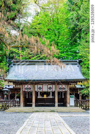 初夏の諏訪大社 上社 本宮　長野県諏訪市 126526009