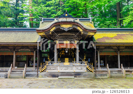 初夏の諏訪大社 上社 本宮 長野県諏訪市 初夏の諏訪大社 上社 本宮 長野県諏訪市 126526013