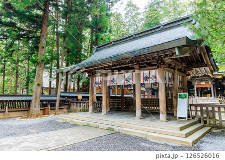 初夏の諏訪大社 上社 本宮　長野県諏訪市 126526016