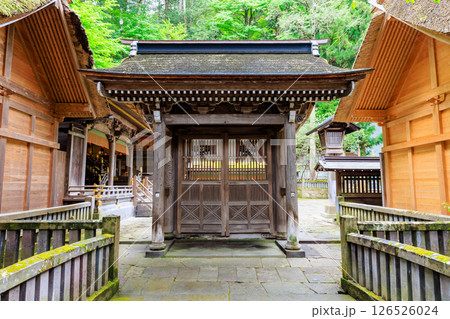 初夏の諏訪大社 上社 本宮　長野県諏訪市 126526024