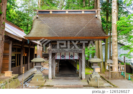 初夏の諏訪大社 上社 本宮　長野県諏訪市 126526027