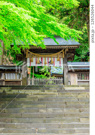 初夏の諏訪大社 上社 本宮 長野県諏訪市 初夏の諏訪大社 上社 本宮 長野県諏訪市 126526044