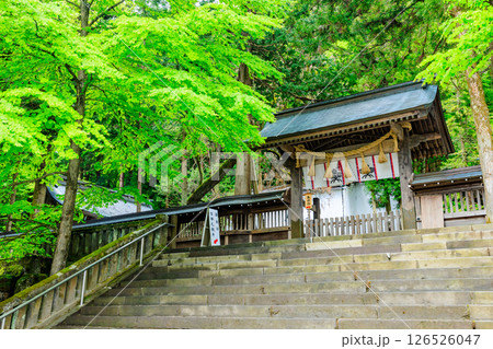 初夏の諏訪大社 上社 本宮　長野県諏訪市 126526047